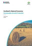 Thumbnail for article : Scotland's Natural Economy Valued At Over £29 Billion Per Annum