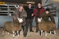Thumbnail for article : Dingwall & Highland Marts Sale 25 February 2010