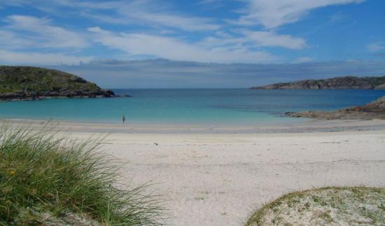Photograph of Highland beaches meet strict environmental water quality standards