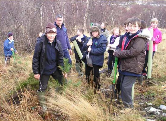 Photograph of Tongue School tree-mendous planting effort