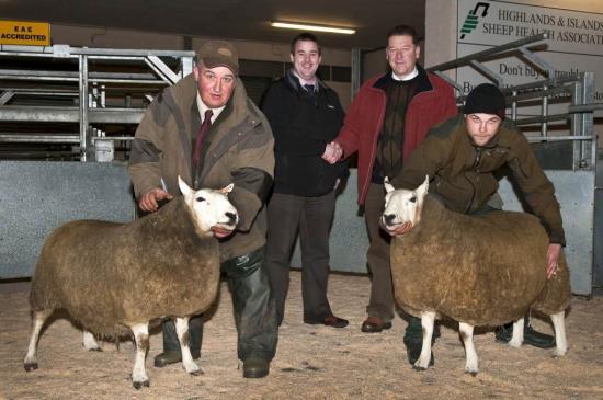 Photograph of Dingwall & Highland Marts Sale 25 February 2010